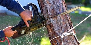 Best Pest Control for Lawns  in Aberdeen Proving Ground, MD