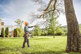 Best Stump Grinding and Removal  in Aberdeen Proving Ground, MD
