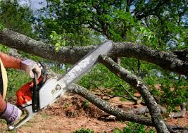 Best Lawn Mowing  in Aberdeen Proving Ground, MD