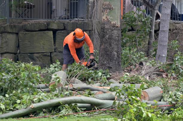  Aberdeen Proving Ground, MD Tree Removal Pros